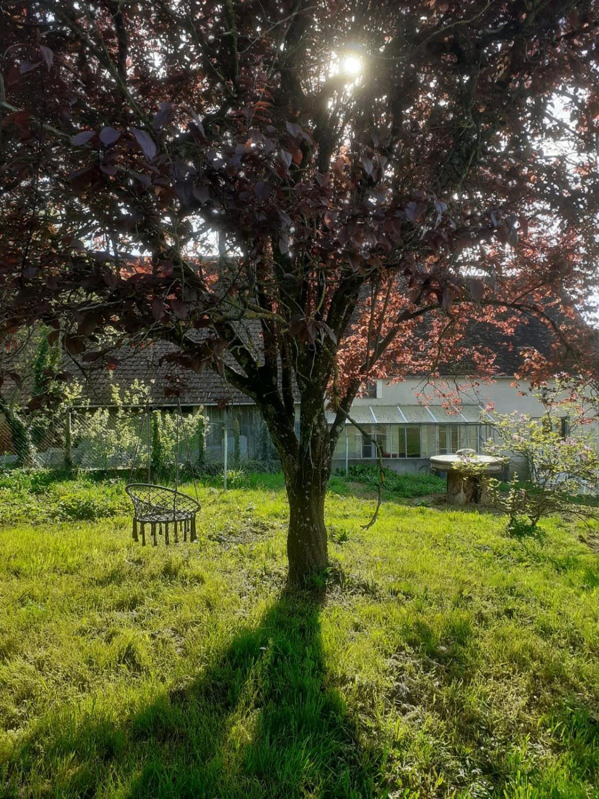 Location De Chambres Bienvenue Chez Meme Treigny Zewnętrze zdjęcie